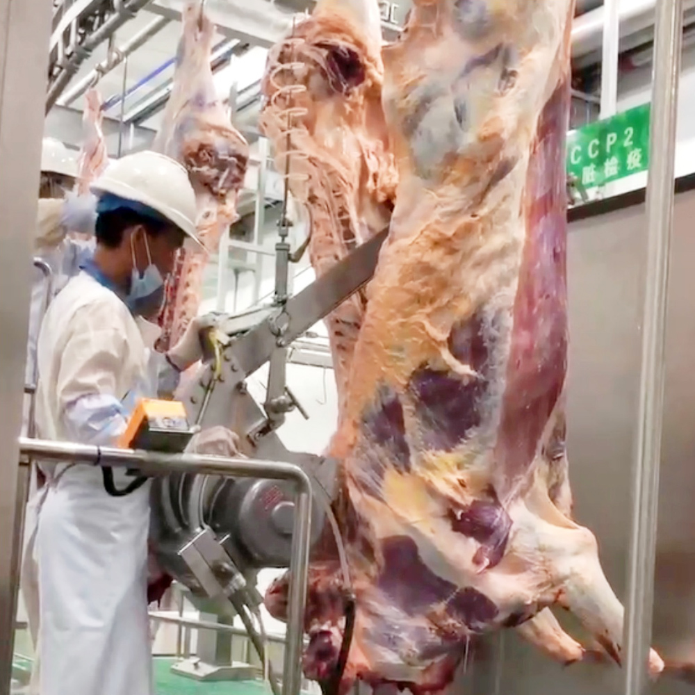 صناعة اللحوم 5.0: كيف تعيد معدات المسالخ الذكية تشكيل عملية المعالجة في عام 2026
